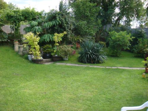 clematis-house-gardens-3